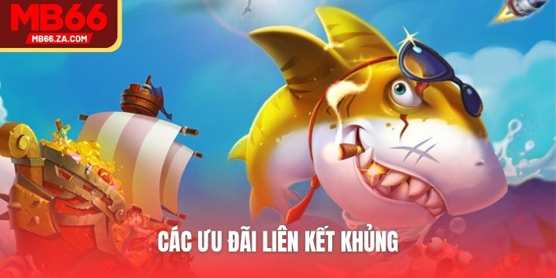 Bắn Cá MB66 - Hoạt Động Săn Thưởng Top 1 Của Bet Thủ 3 Các ưu đãi liên kết khủng